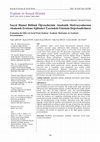 Research paper thumbnail of Sosyal Hizmet Bölümü Öğrencilerinin Akademik Motivasyonlarının Akademik Erteleme Eğilimleri Üzerindeki Etkisinin Değerlendirilmesi