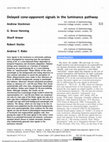 Research paper thumbnail of Delayed cone-opponent signals in the luminance pathway