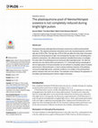 Research paper thumbnail of The plastoquinone pool of Nannochloropsis oceanica is not completely reduced during bright light pulses