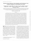 Research paper thumbnail of Molecular Genetic Dissection of the Sex-Specific and Vital Functions of the Drosophila melanogaster Sex Determination Gene fruitless