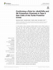 Research paper thumbnail of Confirming a Role for α9nAChRs and SK Potassium Channels in Type II Hair Cells of the Turtle Posterior Crista