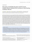 Research paper thumbnail of Muscarinic Acetylcholine Receptors and M-Currents Underlie Efferent-Mediated Slow Excitation in Calyx-Bearing Vestibular Afferents