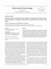 Research paper thumbnail of Natural incidence of egg parasitoids of Edessa meditabunda (F.) (Hemiptera: Pentatomidae) on Crotalaria spectabilis in Campo Novo do Parecis, MT, Brazil