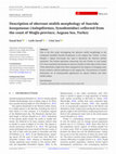 Research paper thumbnail of Description of aberrant otolith morphology of Saurida lessepsianus (Aulopiformes, Synodontidae) collected from the coast of Muğla province, Aegean Sea, Turkey