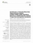 Research paper thumbnail of Identification of Potential Blind-Side Hypermelanosis-Related lncRNA–miRNA–mRNA Regulatory Network in a Flatfish Species, Chinese Tongue Sole (Cynoglossus semilaevis)