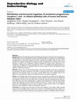 Research paper thumbnail of Distribution and hormonal regulation of membrane progesterone receptors β and γ in ciliated epithelial cells of mouse and human fallopian tubes