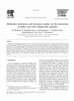 Research paper thumbnail of Molecular mechanics and dynamics studies on the interaction of gallic acid with collagen-like peptides