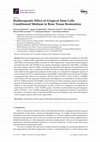 Research paper thumbnail of Biotherapeutic Effect of Gingival Stem Cells Conditioned Medium in Bone Tissue Restoration