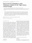 Research paper thumbnail of First record of Cordylophora caspia (Hydrozoa: Cnidaria) in the Tagus estuary, central Portugal