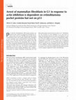 Research paper thumbnail of Arrest of mammalian fibroblasts in G1 in response to actin inhibition is dependent on retinoblastoma pocket proteins but not on p53