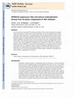 Research paper thumbnail of SP600125 suppresses Cdk1 and induces endoreplication directly from G2 phase, independent of JNK inhibition