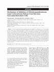 Research paper thumbnail of Mechanisms of inhibition of dehydroepiandrosterone upon corticosterone release from rat zona fasciculata-reticularis cells