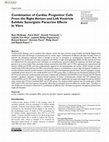 Research paper thumbnail of Combination of Cardiac Progenitor Cells From the Right Atrium and Left Ventricle Exhibits Synergistic Paracrine Effects In Vitro