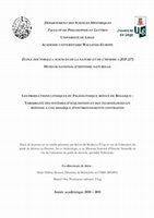 Research paper thumbnail of Les productions lithiques du Paléolithique moyen de Belgique : Variabilité des systèmes d'acquisition et des technologies en réponse à une mosaïque d'environnements contrastés