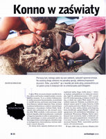 Research paper thumbnail of Konno w zaświaty - Archeologia Żywa 3/2009