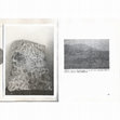 Research paper thumbnail of Petrovo polje u antici-topografija i nalazi