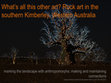 Research paper thumbnail of What's all this other art? A preliminary report on the diverse and distinct rock art of the southern Kimberley, Western Australia