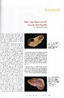 Research paper thumbnail of Waffe oder Statussymbol? Verzierte Geweihgeräte. In: H. Meller (Hrsg.), Haldensleben – VOR seiner ZEIT. Archäologische Ausgrabungen 2008-2012. Archäologie in Sachsen-Anhalt Sonderband 17 (Halle [Saale] 2012) 101-104.