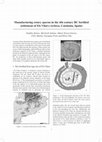 Research paper thumbnail of Manufacturing rotary querns in the 4th century BC fortified settlement of Els Vilars (Arbeca, Catalonia, Spain)