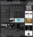 Research paper thumbnail of (2009) Photographic Imaging of Infrared Luminescence Induced by Visible Light in Artist Materials (Sutton, Shugar, Kushel, and Smith)