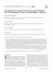 Research paper thumbnail of (2002) Investigation of a Copper-based Hoard from the Megalithic Site of al-Midamman, Yemen: an Interdisciplinary Approach (Giumlia-Mair, Keall, Shugar, Stock)