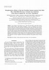 Research paper thumbnail of Morphometric affinity of the late Neolithic human remains from Man Bac, Ninh Binh Province, Vietnam: key skeletons with which to debate the 'two layer'hypothesis