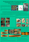 Research paper thumbnail of Woodworking technology and functional experimentation in the Neolithic site os La Draga (Banyoles, Spain)