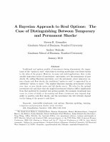 Research paper thumbnail of A Bayesian Approach to Real Options: The Case of Distinguishing Between Temporary and Permanent Shocks