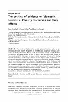 Research paper thumbnail of The Politics of Evidence on 'Domestic Terrorists': Obesity Discourses and Their Effects