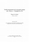 Research paper thumbnail of Fouille programmée de la nécropole des "Saives" à Champdivers (39). Rapport de sondages.