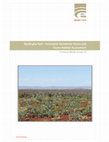 Research paper thumbnail of Nyidinghu Rail - Terrestrial Vertebrate Fauna and Fauna Habitat Assessment [Pilbara, Western Australia]