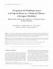 Research paper thumbnail of 2010. Occupations du Néolithique moyen et de l'âge du Bronze au «Champ du Château» à Kervignac (Morbihan). RAO, 27