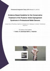 Research paper thumbnail of Evidence Based Guideline for the Conservative Treatment of the Posterior Ankle Impingement Syndrome in Professional Ballet Dancers. Professional Assignment Thesis, 2010