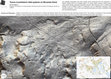 Research paper thumbnail of Traces of prehistoric field systems on Slovenian Karst