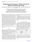 Research paper thumbnail of Morphometrical Assessment of   Kidney in Fetuses of  Different Gestational Age Groups