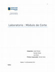 Research paper thumbnail of Modulo de corte