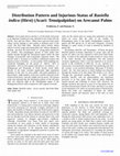 Research paper thumbnail of Distribution Pattern and Injurious Status of Raoiella indica (Hirst) (Acari: Tenuipalpidae) on Arecanut Palms