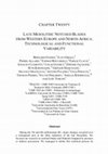 Research paper thumbnail of Late Mesolithic Notched Blades from Western Europe and North Africa : technological and functional variability