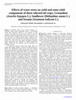 Research paper thumbnail of Effects of water stress on yield and some yield components of three selected oil crops; Groundnut (Arachis hypogea L.), Sunflower (Helianthus annus L.) and Sesame (Sesamum indicum L.) 