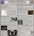 Research paper thumbnail of Paleoradiology of Egyptian Mummies: A CT Imaging Survey of Cancer in Ancient Remains