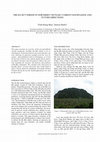 Research paper thumbnail of The Đa Bút period in Northern Vietnam: Current knowledge and future directions