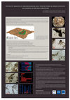 Research paper thumbnail of Phytolith analysis of archaeological soil thin sections in urban contexts. The example of Brussels (Belgium)