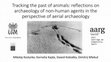 Research paper thumbnail of Tracking the past of animals: reflections on archaeology of non-human agents in the perspective of aerial archaeology (AARG 2015 Santiago de Compostela, Spain)