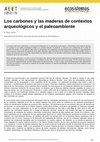 Research paper thumbnail of Los carbones y las maderas de contextos arqueológicos y el paleoambiente