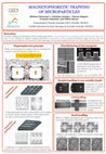 Research paper thumbnail of Magnetophoretic trapping of microparticles (poster)