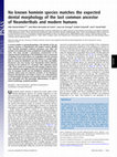 Research paper thumbnail of No known hominin species matches the expected dental morphology of the last common ancestor of Neanderthals and modern humans