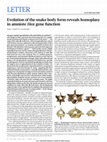 Research paper thumbnail of Evolution of the snake body form reveals homoplasy in amniote Hox gene function