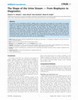 Research paper thumbnail of The shape of the urine stream--from biophysics to diagnostics