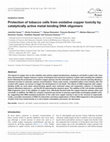 Research paper thumbnail of Protection of tobacco cells from oxidative copper toxicity by catalytically active metal-binding DNA oligomers