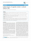 Research paper thumbnail of Lethal impacts of cigarette smoke in cultured tobacco cells